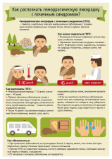 Как распознать геморрагическую лихорадку с почечным синдромом?
